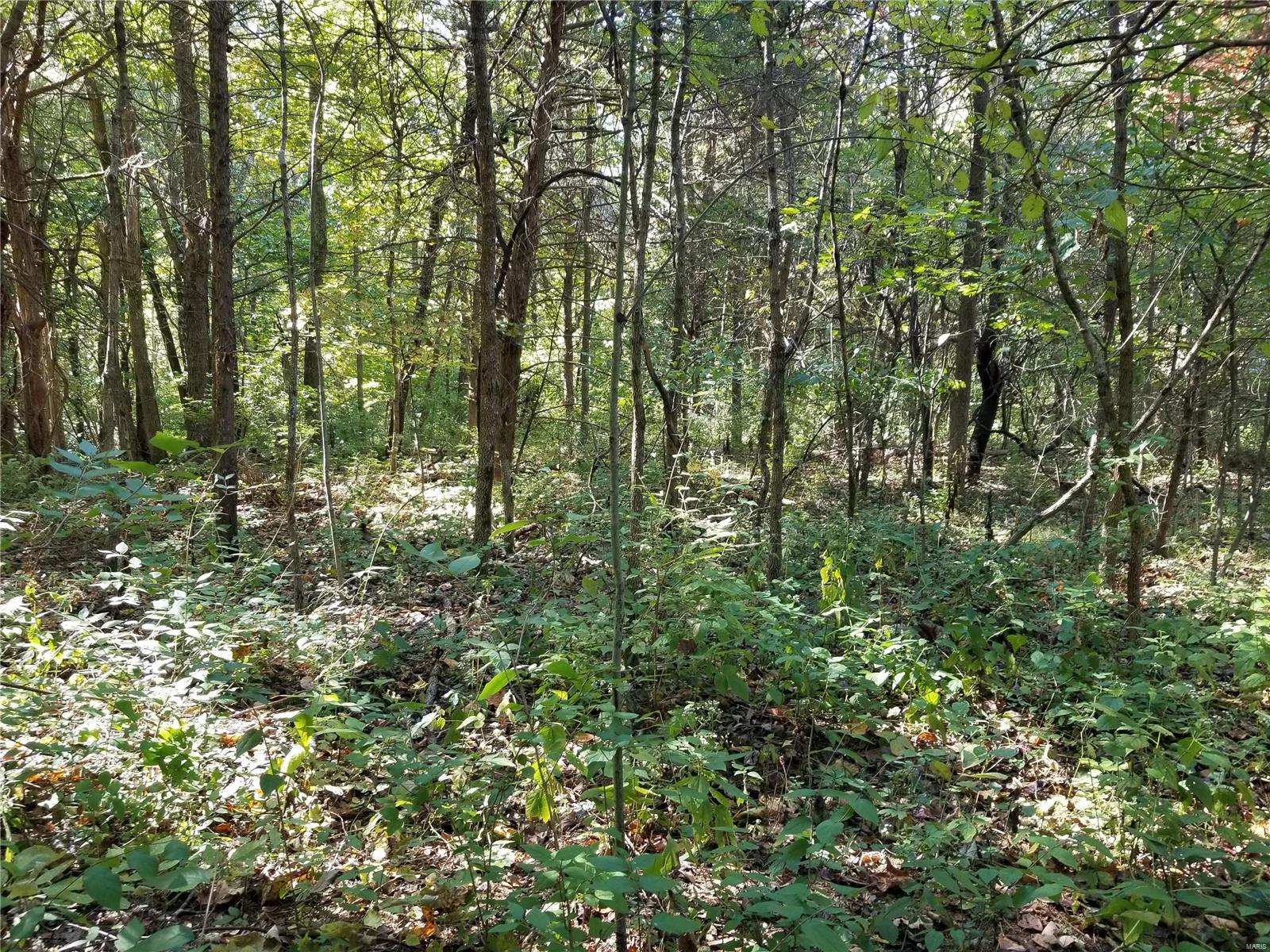 Lake Sherwood Estates - Land