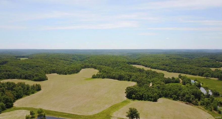 Amazing opportunity to own 275 acres! This property is only 30 minutes from Wentzville and just minutes from I-70, yet it's nestled in a peaceful, private setting where wildlife abounds. Seller will divide! Exceptional combination farm with 60 acres of income-producing tillable ground and the balance in woods. Live creek with tremendous deer and turkey hunting! Possible future lake sites and recreational options for the outdoor lovers. These beautiful views and private grounds could be your country retreat. Properties like this don't come along often! Make your appointment today! Couldn’t be a better time to own a piece of paradise!