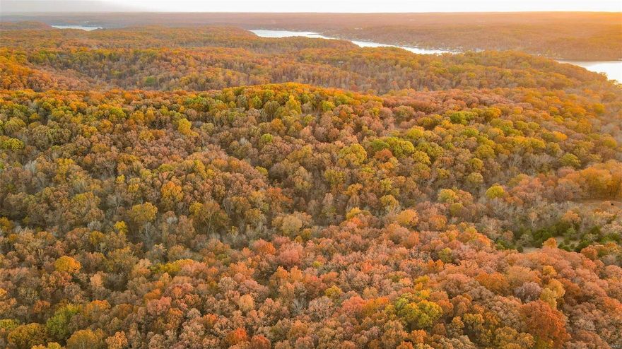 This 10.58+/- acre tract of land is perfect for your new recreational getaway. Located in Morgan County at Lake of the Ozarks, this piece of land offers a tranquil retreat amidst the natural beauty of the Ozarks. Seclusion and serenity are yours to enjoy on this affordable property, making it the perfect canvas for a weekend getaway or small hunting tract. The property has a diverse stand of mature timber, consisting of big white and black oak, hickory and few walnuts along the creek bottom. Multiple deer trails cut through the property and there is a lot of sign that they use this land daily along with turkey and other small game. Power is accessible on the west line of the property and the private road allows for good access. If you are looking for a secluded, quiet, game rich tract of land, this may just be the property for you.