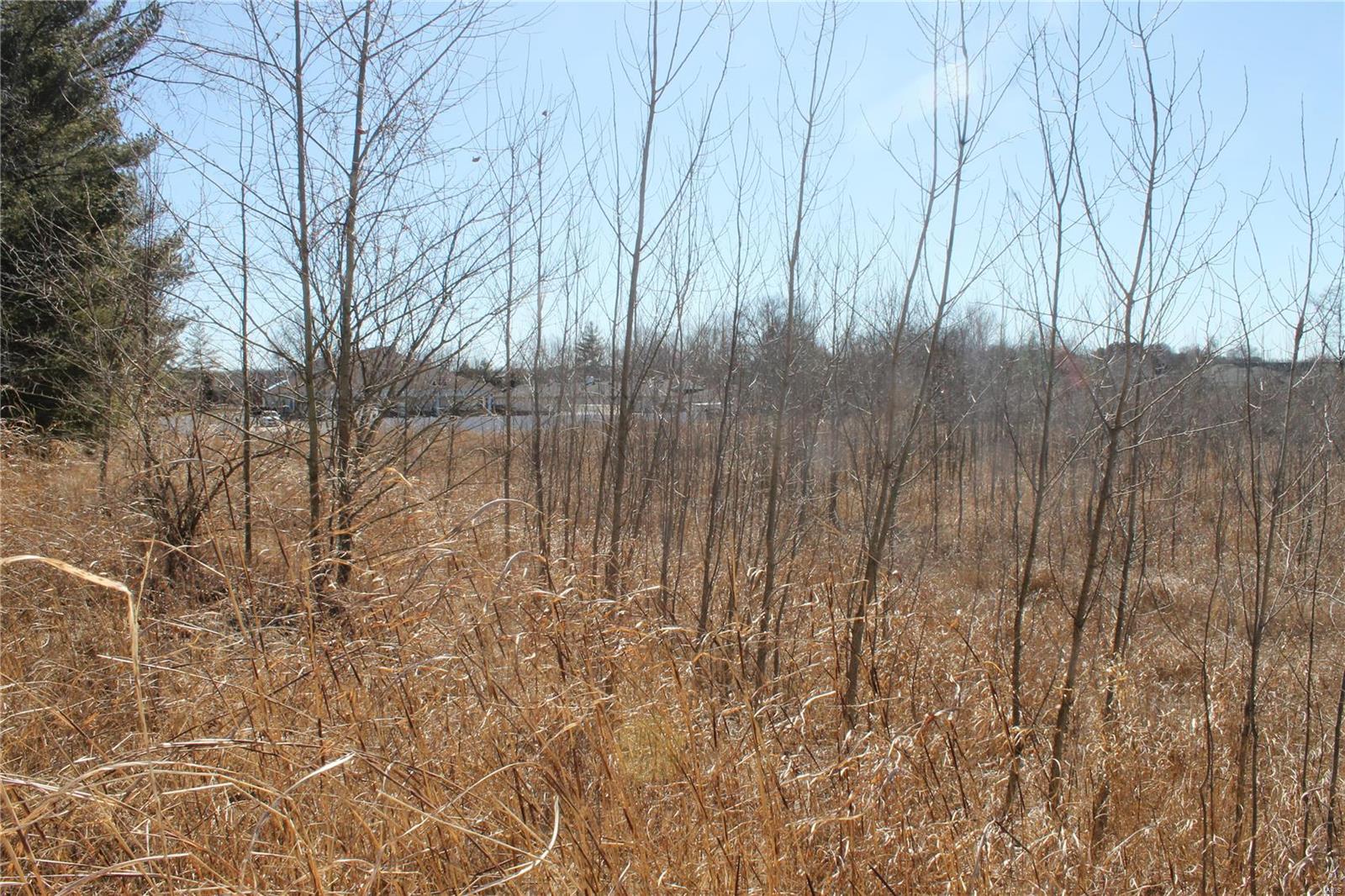 Mary Schaeffer Estate Lt Pts 2 & 3 & - Land