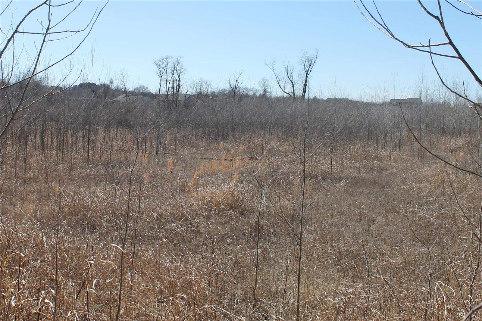 Mary Schaeffer Estate Lt Pts 2 & 3 & - Land