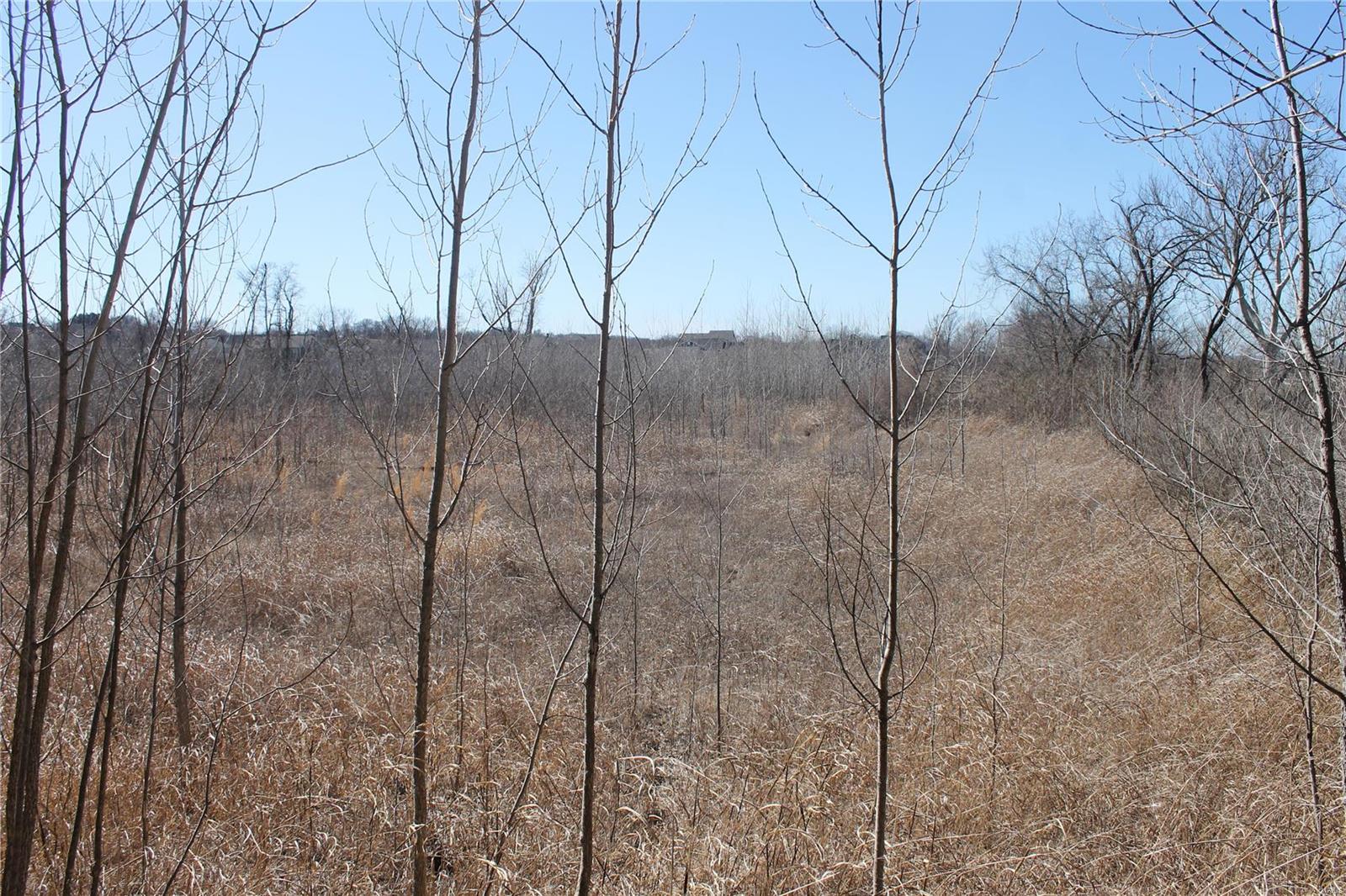 Mary Schaeffer Estate Lt Pts 2 & 3 & - Land