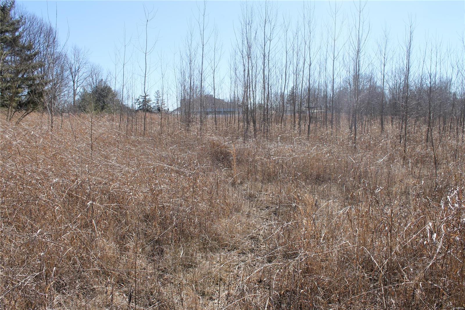 Mary Schaeffer Estate Lt Pts 2 & 3 & - Land