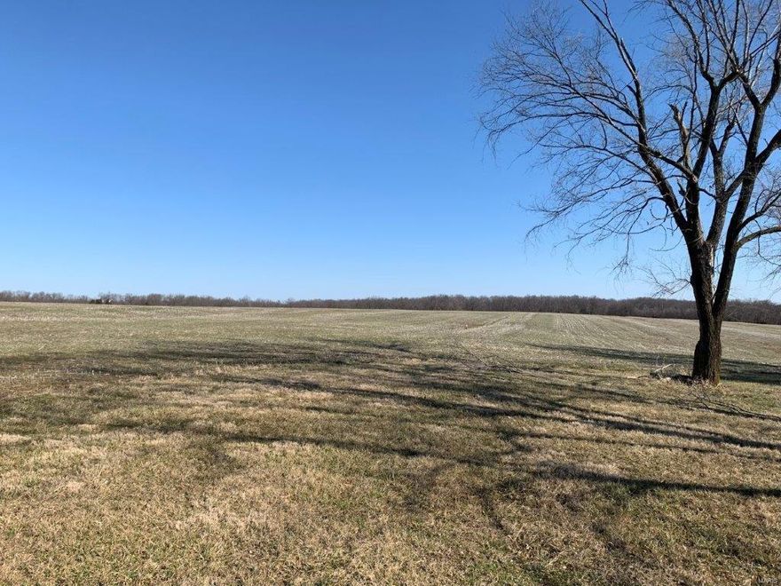 Beautiful estate with over 1600 feet of blacktop frontage and running 3/4 of a mile deep, this property is a great investment opportunity priced at $10,800.  Rolling creek, hidden meadows, buildings suitable for horses, livestock and equipment, fenced pasture, stately two story home (in need of repair) this place has it all. Approximately 100 acres of fenced pasture!  Great place to run cattle and horses on the front and hunt and ride four wheelers in the back. Pipeline easement thru property.  Just 5 miles south of 70.