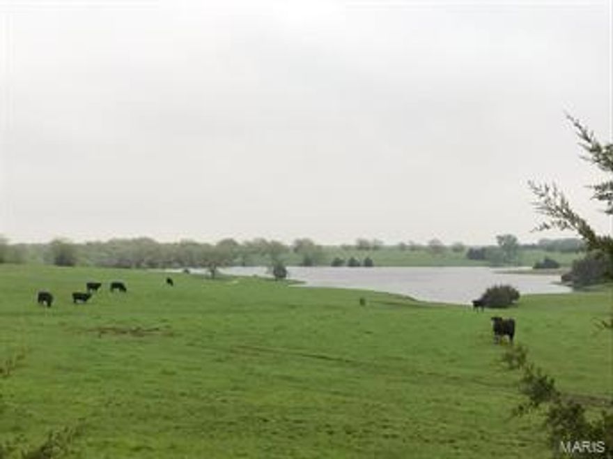 350+/- ADJOINING acres located in the heart of Mark Twain Lake Country, Monroe County, MO. Income producing land lease $15,000 per year.  Lease expiring in Oct. 2019.  Hard surface access to your front gate takes to playground with income.  Duck Hunt? 24+ acre lake plus another 5+ acre pond with bring all the water fowl you can handle! Prefer the two and four legged hunting, 37 acres of clustered & scattered woods (property abuts solid woods/Corp of Engineer property).  Road access from Highway 154 and Monroe County Road 477.  Income from pasture and recreation galore.