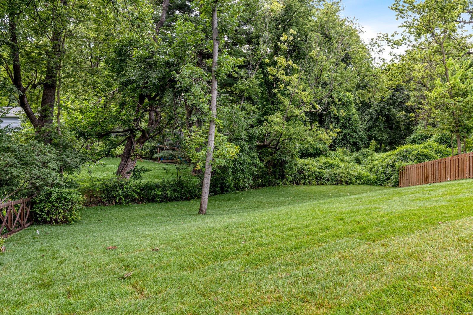 Resub Of Lt 51 Webster Groves - Residential