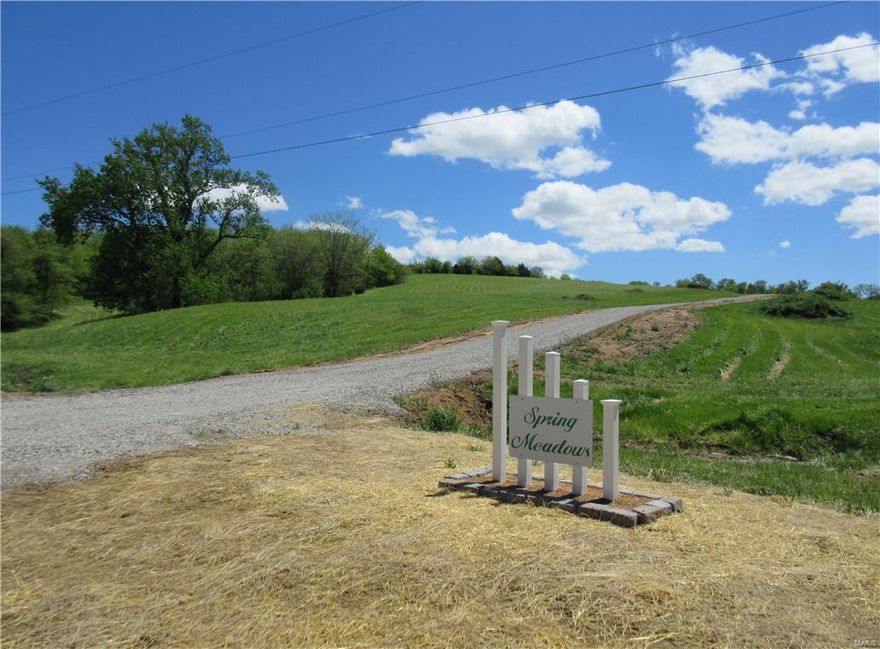 SHOUSE'S ALLOWED! Building lot available in a new subdivision named Spring Meadows Lane. This is a quiet country setting yet "close to everything" 2 miles from Warren Barrett Drive. Gently rolling topography with open ground and great views of the country side. The water line has been installed on the south side of the subdivision road. Electric and fiber lines completed.  Additional gravel and grading to be completed on the road soon. This is a great chance to get exactly what you want. Building restrictions do apply. Come by and take a look. Take S 6th Street off Warren Barrett Drive, 6th turns into Ely Street (by the dog park), Ely turns into CR 430, turn right on Silvers Lane. Subdivision on left side. Approx 2 miles from Warren Barrett Drive and hardly any gravel road. Tax ID to be assigned. Additional Rooms: In Platted Subdv.