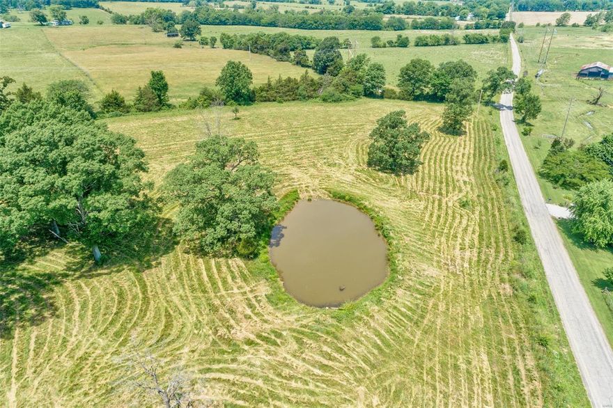 Very nice 5.00 +/- acre homesite located just minutes from Farmington and approximately one hour south of St Louis. The land is mostly pasture, has a stocked pond and fenced except one side. There are several great building sites and perfect for a mini farm.