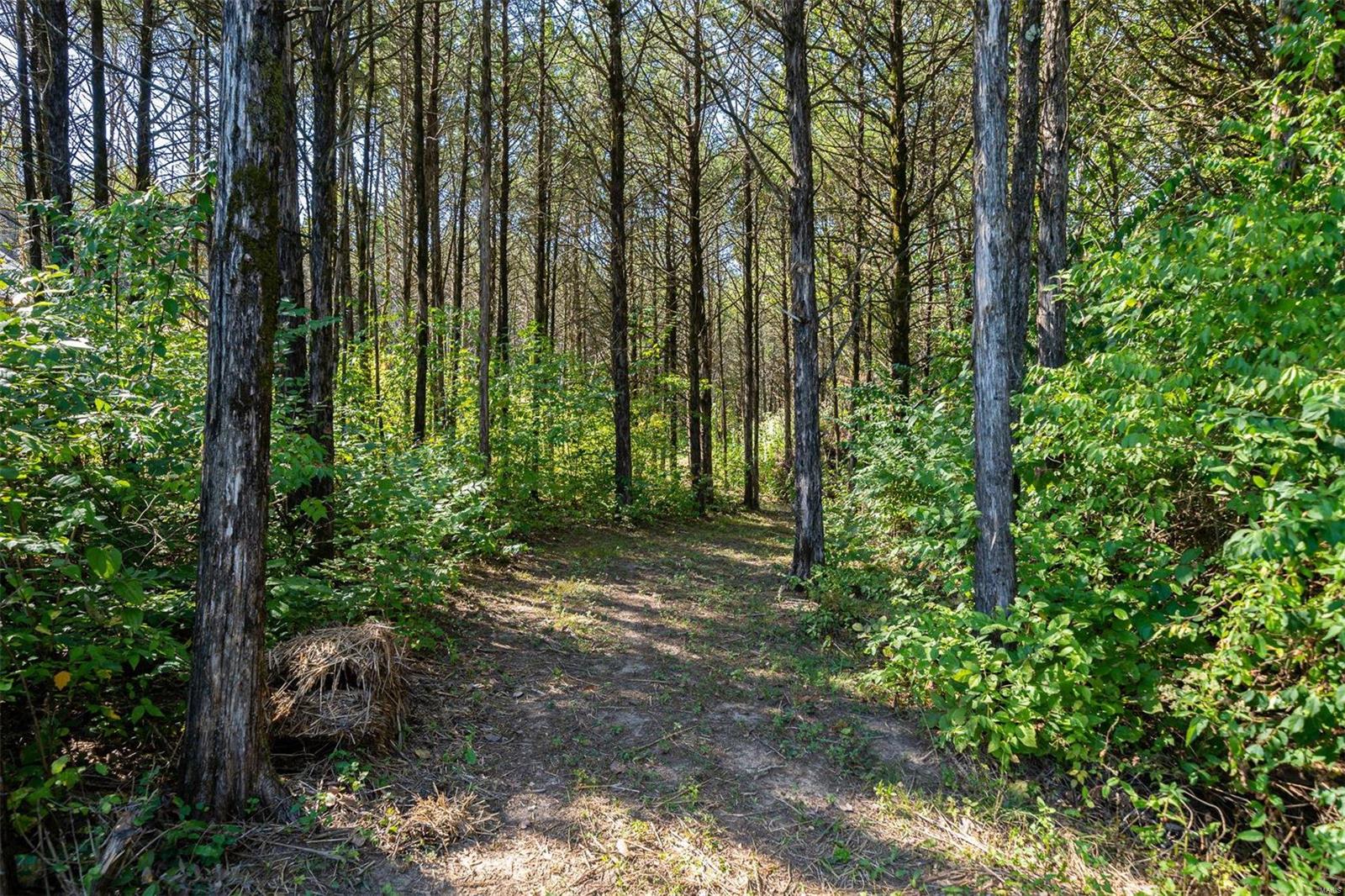 Forest Hills Estates - Residential