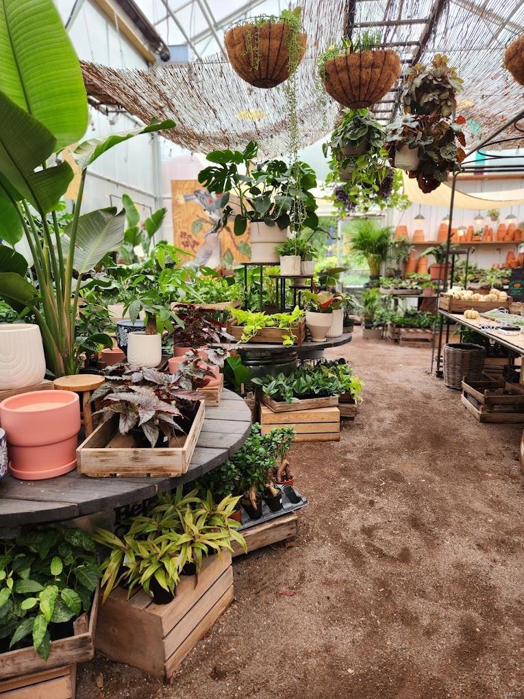 Zeta Dell - Commercial Sale