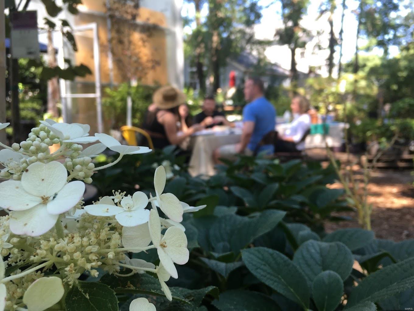 Zeta Dell - Commercial Sale