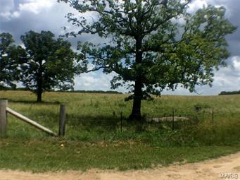 Rural - Farm