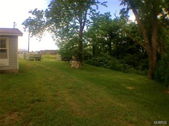 Rural - Farm