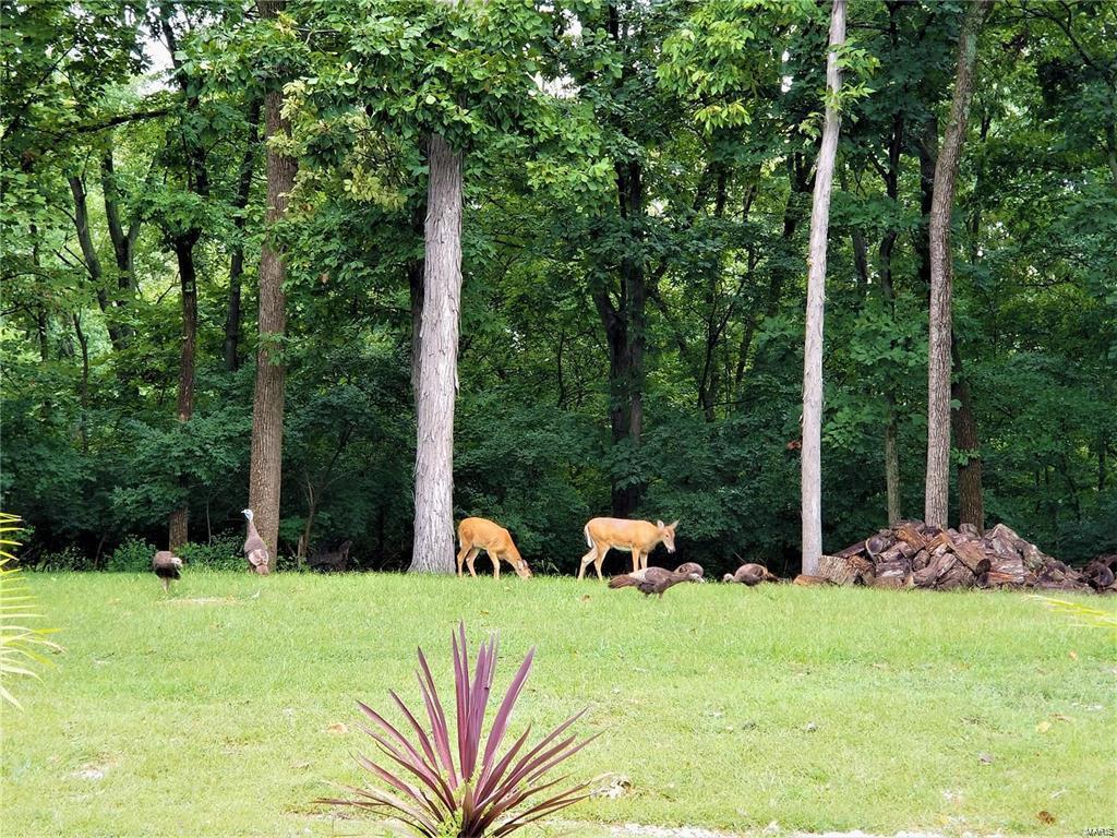 Meadowbrook Country Club Estates - Residential