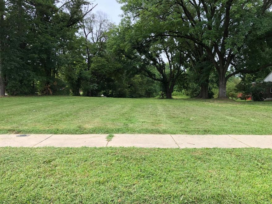 LEVEL LOT on Wild Horse Creek Rd. Not located within a subdivision which means no restrictions.  The lot has been cleared of any structures so it is ready for your plans.  There are just enough trees for cover and plenty at the back of the lot for privacy. Located in Rockwood Schools and minutes from shopping, highways, entertainment, schools, restaurants, and trails.