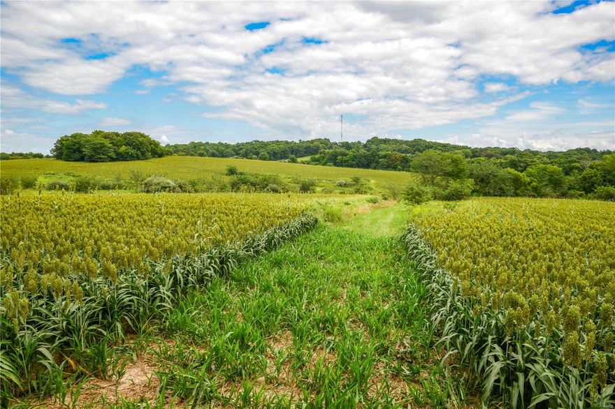 This 150 m/l acre property lays in the rolling hills of Northern Lincoln County just south of the Sun Valley Golf Course. Resting along Highway W, this pure recreational tract offers 60 acres of row crop, Home Sites, Excellent Hunting, Elsberry Schools, and is just a 30 min drive from Wentzville. The property consists of a couple of blocks of timber, crop fields, a small pond, brushy fields, and ditches/waterways. It's a nice balance of cover and open ground to create a diverse habitat for wildlife. The trail camera history on this property speaks for itself, Big Bucks and Gobbling Turkeys are the common themes over the years. If you're looking to just get outdoors or build a weekend getaway give this place a look.