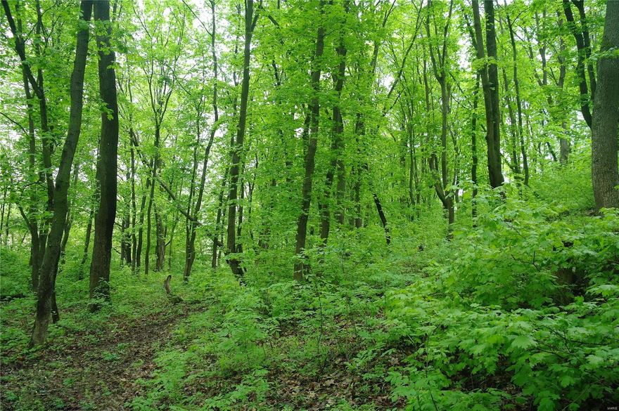 Here is an opportunity to build on a 19 acre tract of land in St Louis County and the Rockwood School District. Or to develop a piece of land into several luxury home sites. Or do both - take a large piece for yourself, build an awesome home, then spin off a few lots to recoup your investment. Either way you will enjoy all the amenities that Wildwood has to offer and be close to shopping, schools, and highways. This hilly and wooded lot has not traded for over 30 years and is quite beautiful in its natural and raw form. The survey shows that Parcel 1 has been removed from parcel 2, but it is not yet granted a new locator ID number. Do not walk the property without giving notice to listing agent.