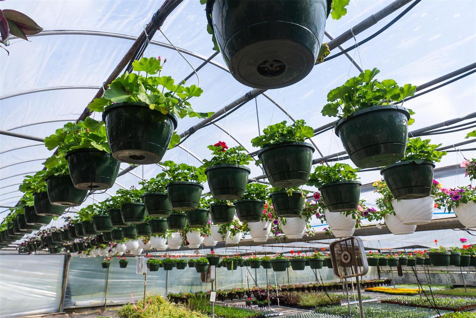 Flat Rock - Commercial Sale