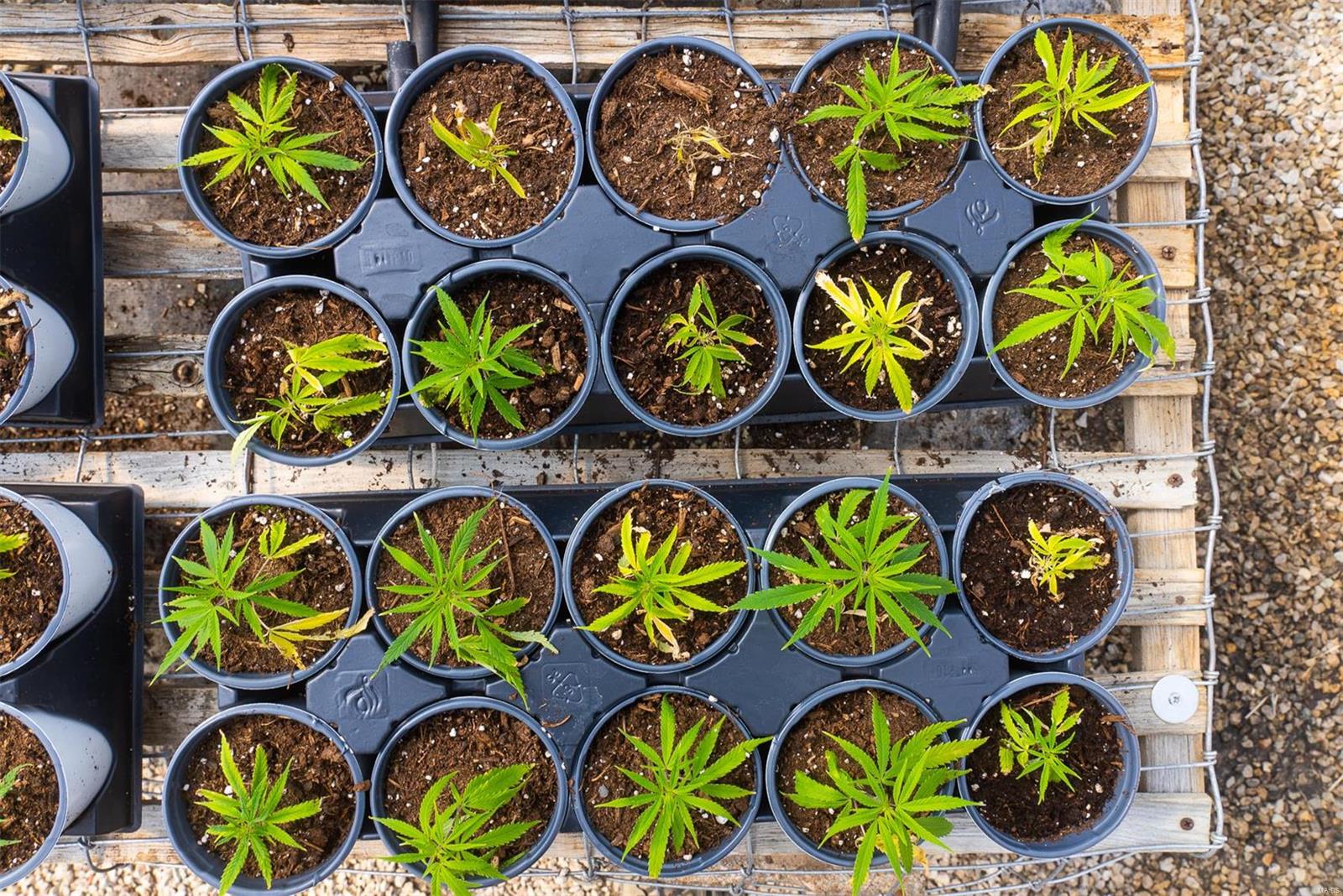 Flat Rock - Commercial Sale