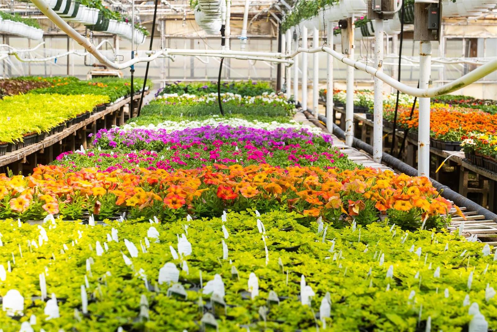 Flat Rock - Commercial Sale