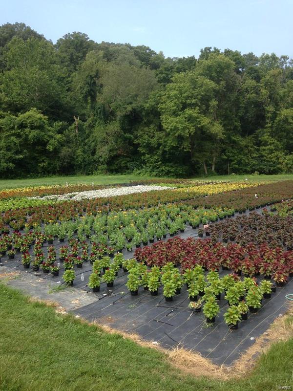 Flat Rock - Commercial Sale