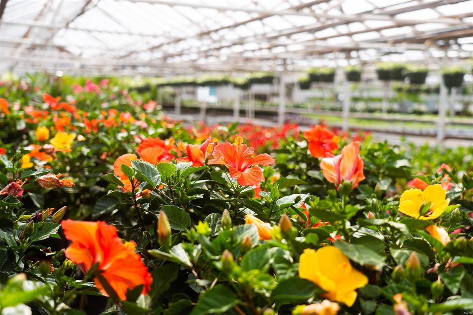 Flat Rock - Commercial Sale