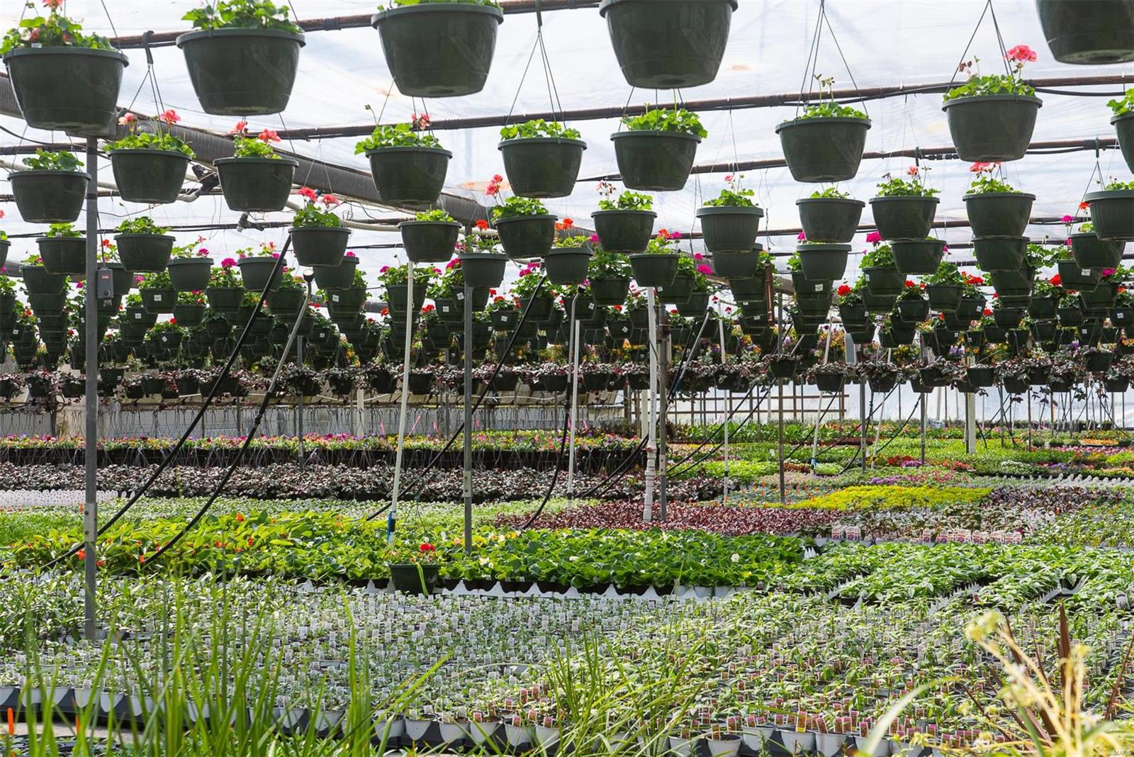 Flat Rock - Commercial Sale