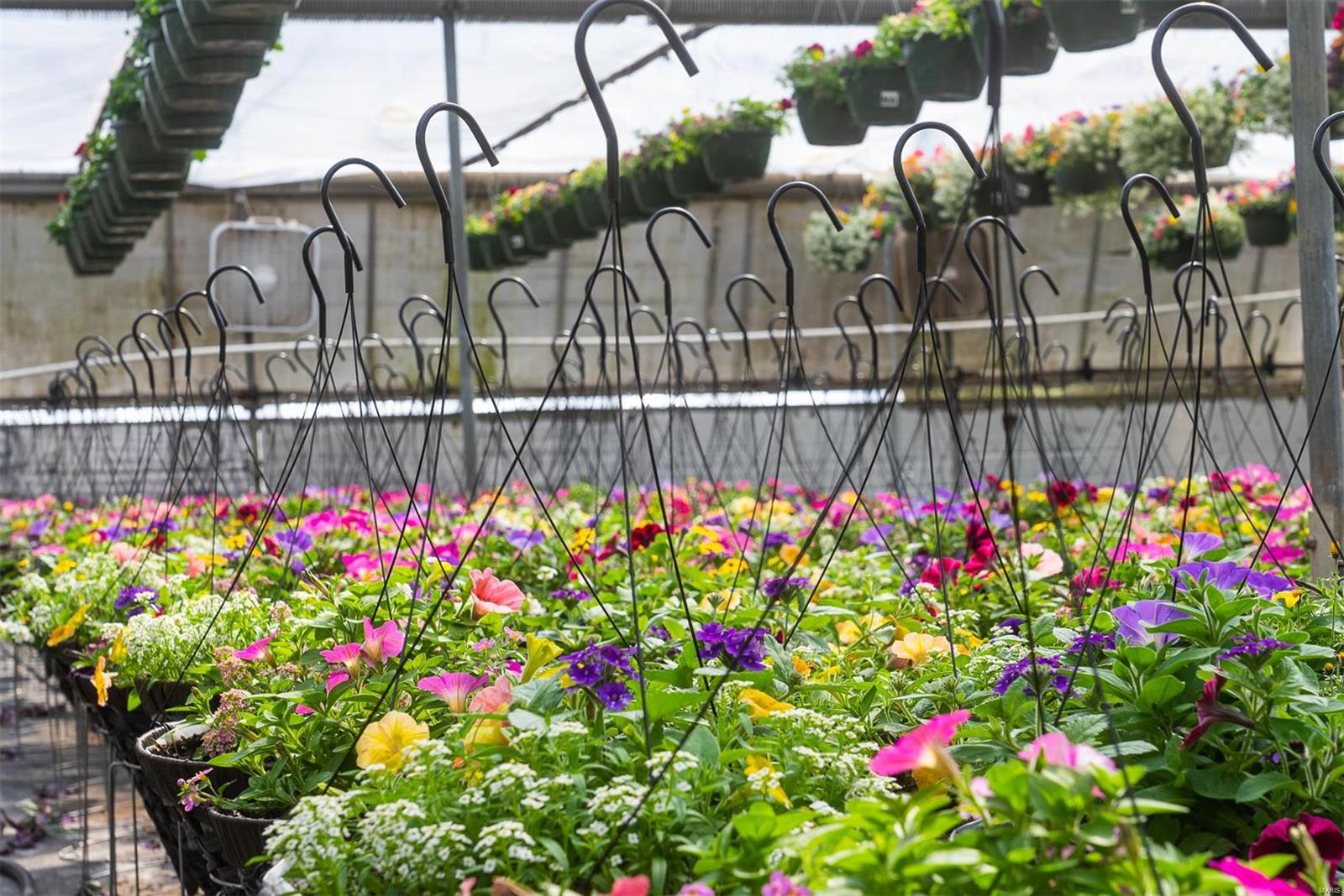 Flat Rock - Commercial Sale