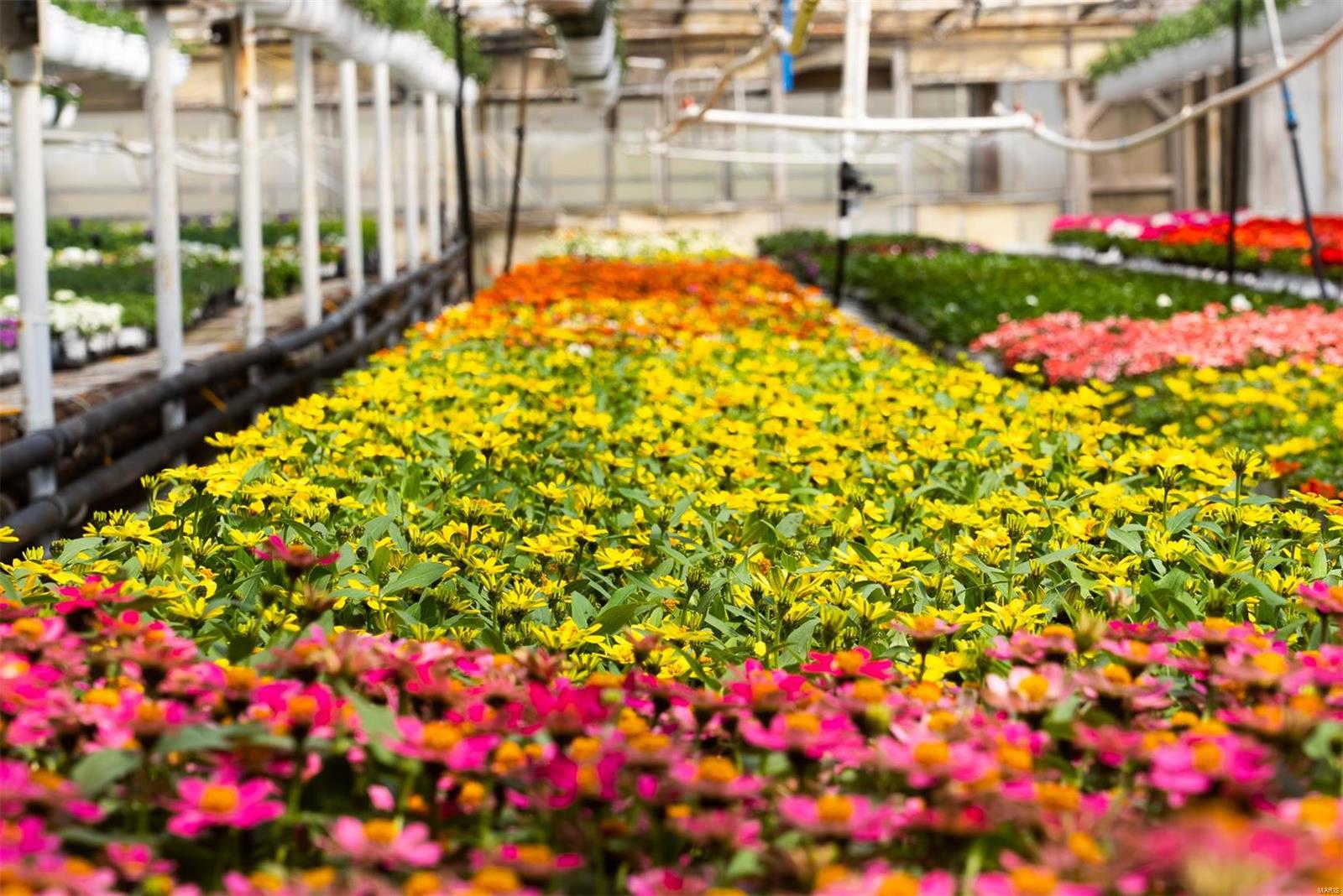 Flat Rock - Commercial Sale