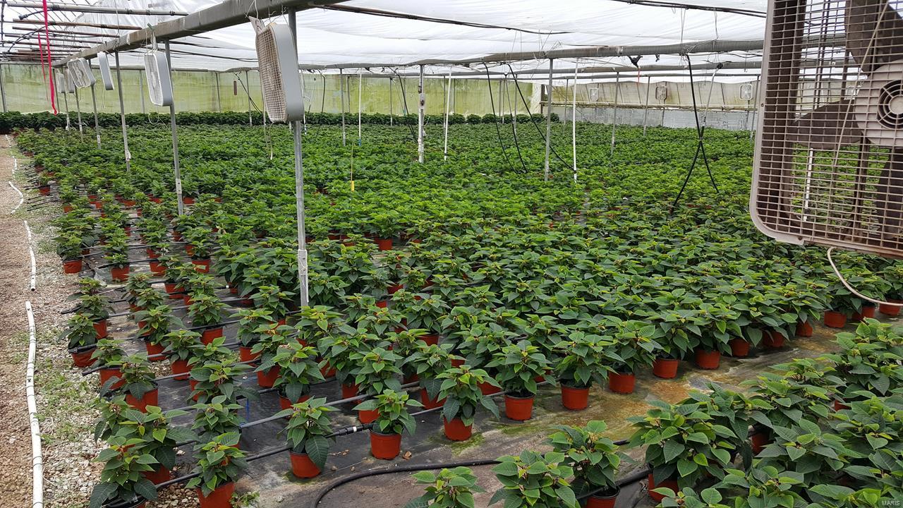 Flat Rock - Commercial Sale