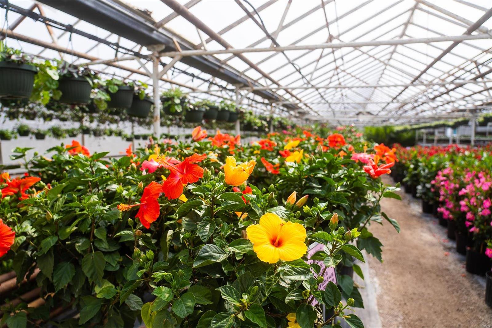 Flat Rock - Commercial Sale