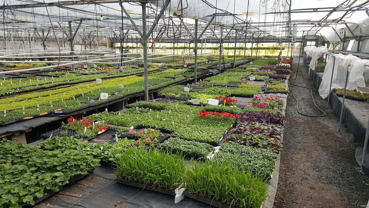 Flat Rock - Commercial Sale