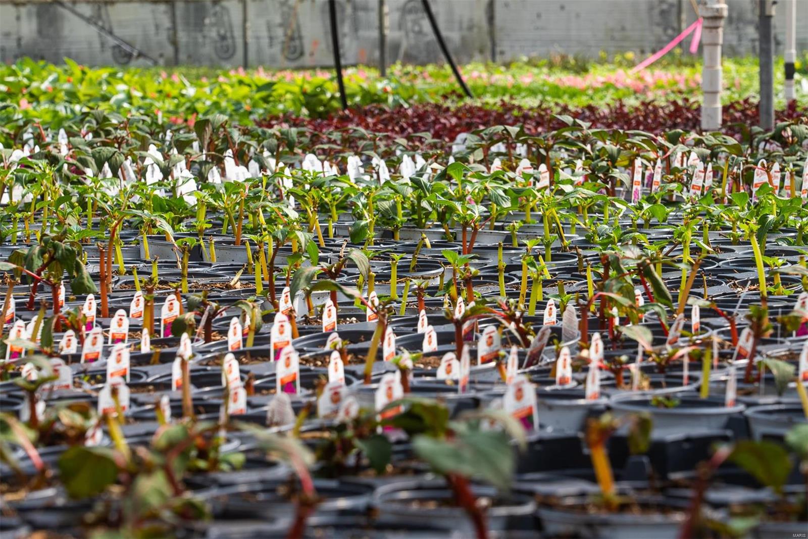 Flat Rock - Commercial Sale