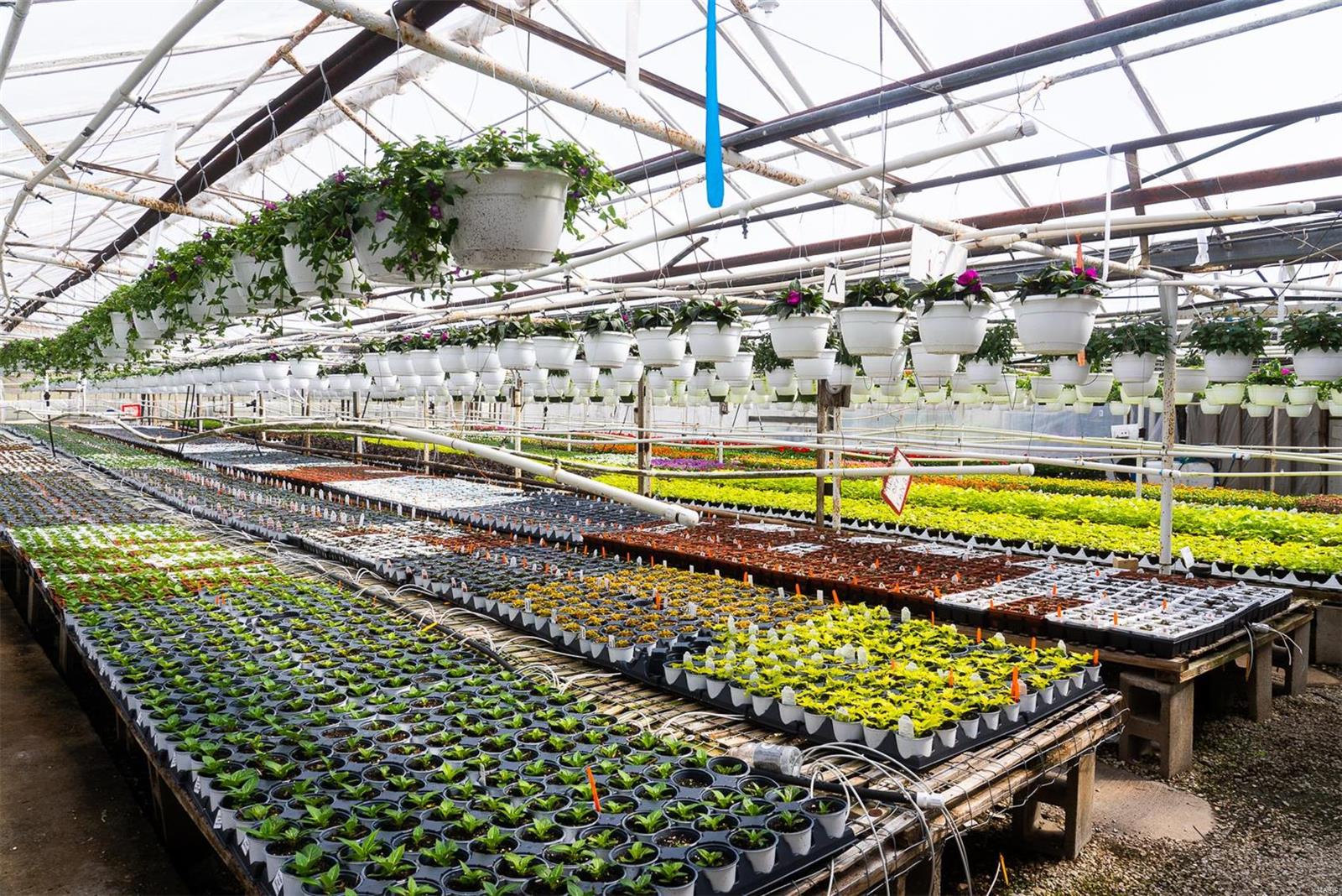 Flat Rock - Commercial Sale