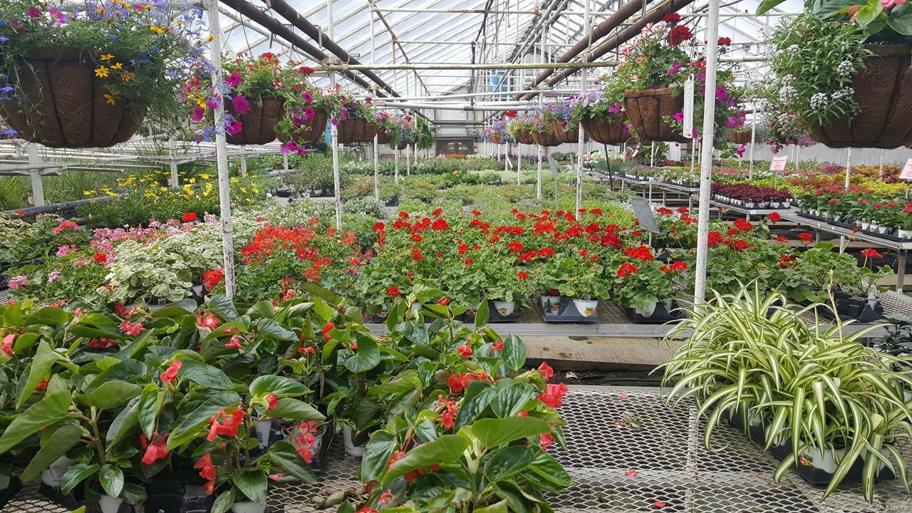 Flat Rock - Commercial Sale