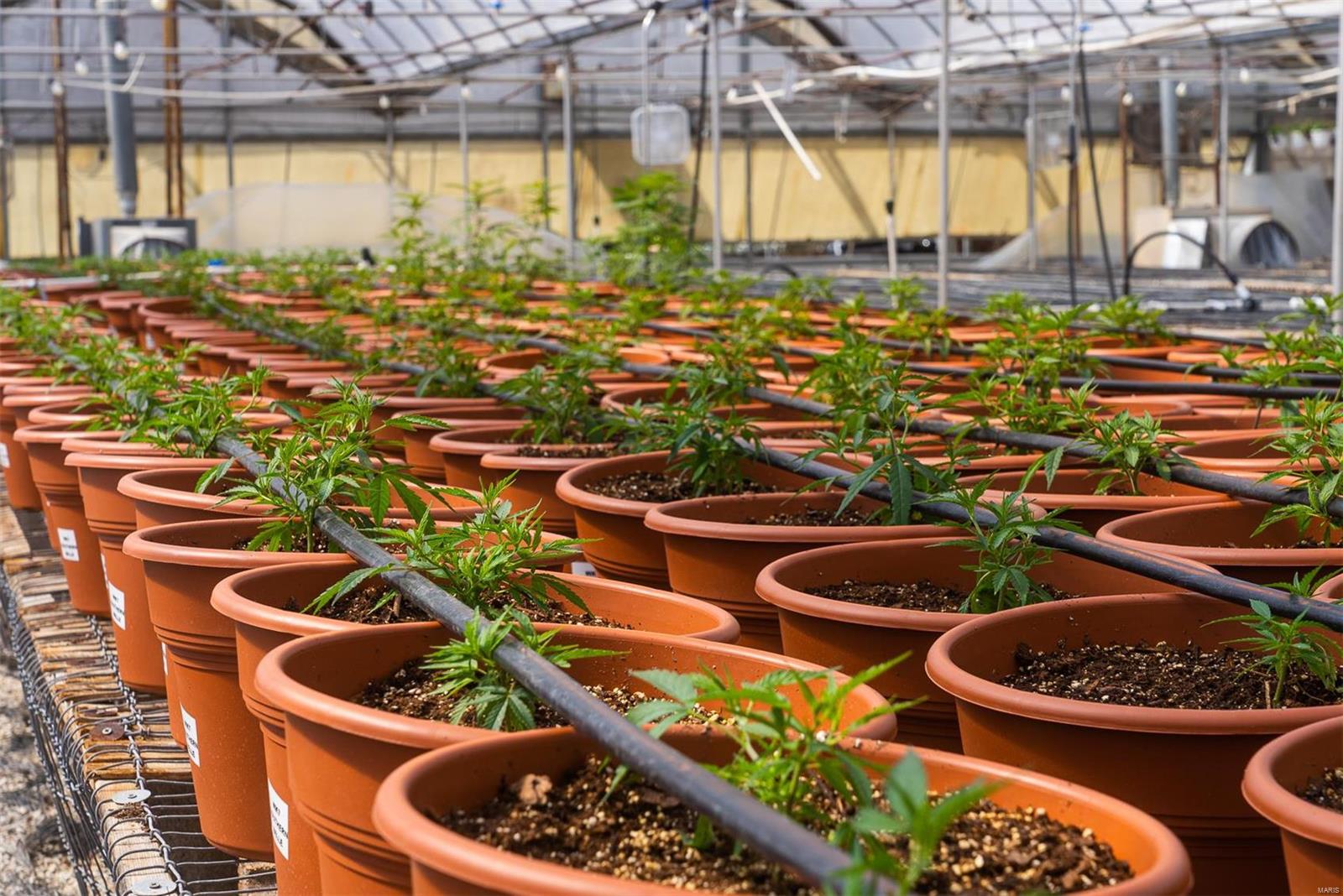 Flat Rock - Commercial Sale