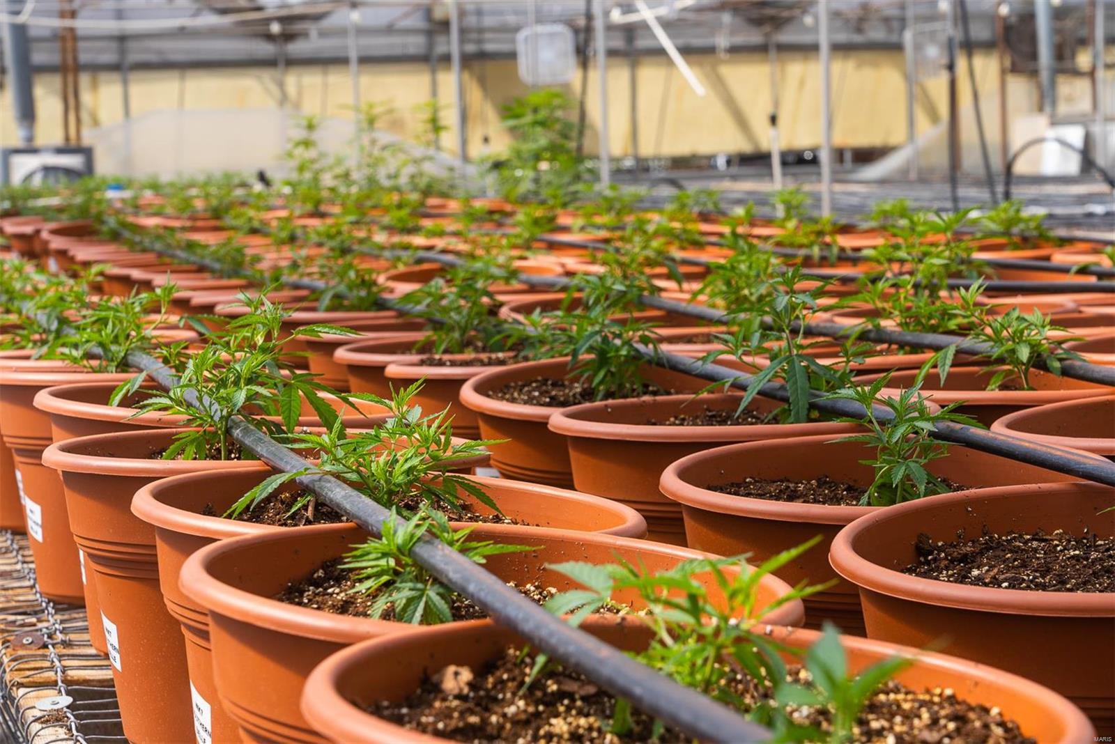 Flat Rock - Commercial Sale