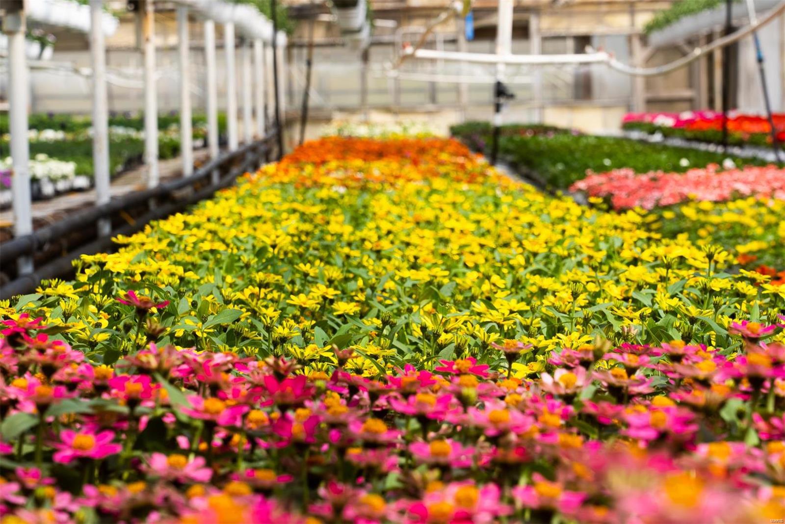 Flat Rock - Commercial Sale