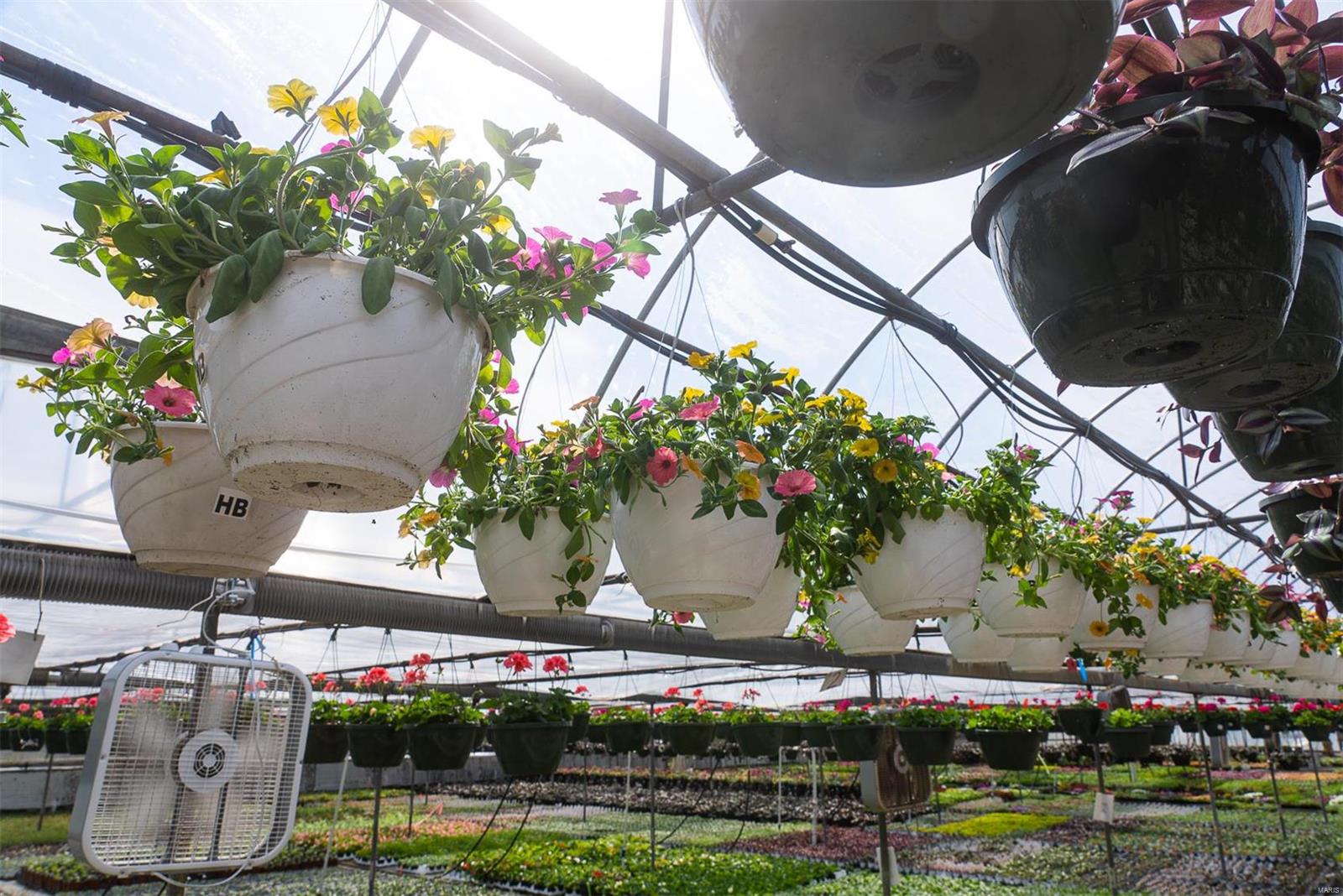 Flat Rock - Commercial Sale