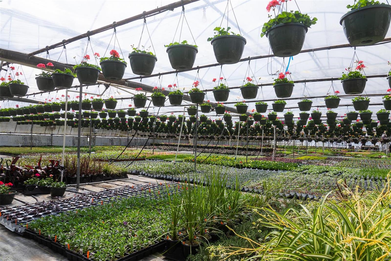 Flat Rock - Commercial Sale