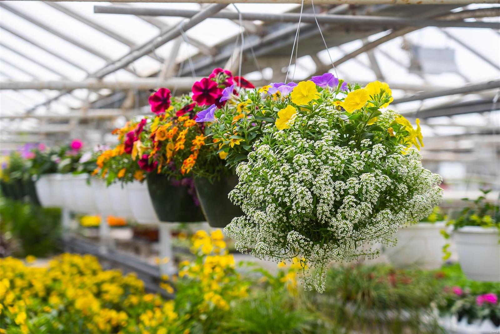 Flat Rock - Commercial Sale