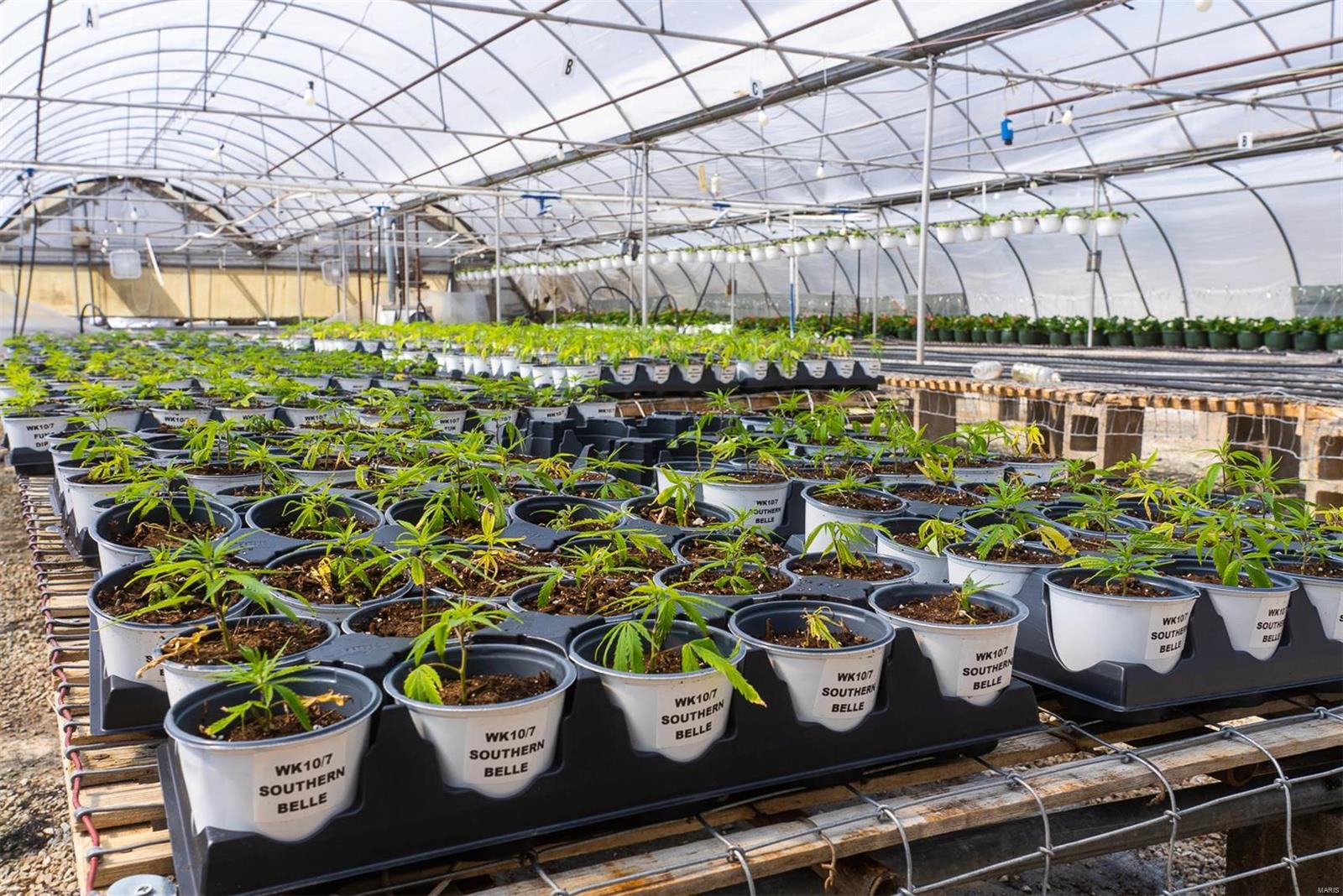 Flat Rock - Commercial Sale