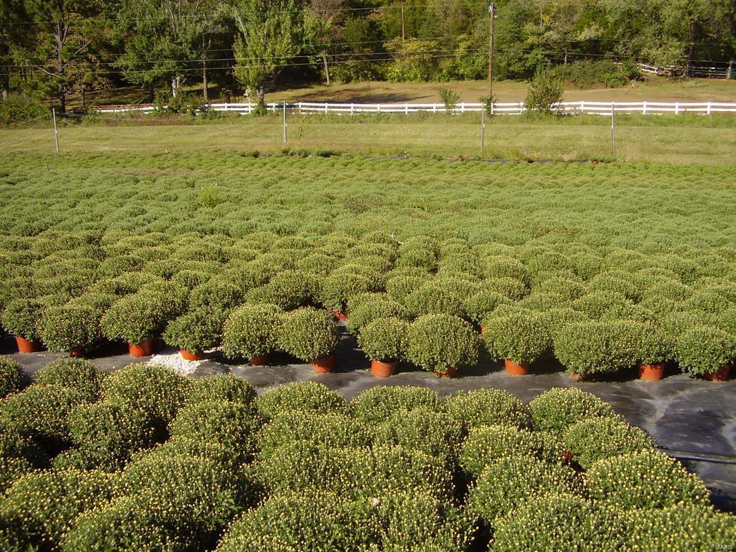 Flat Rock - Commercial Sale