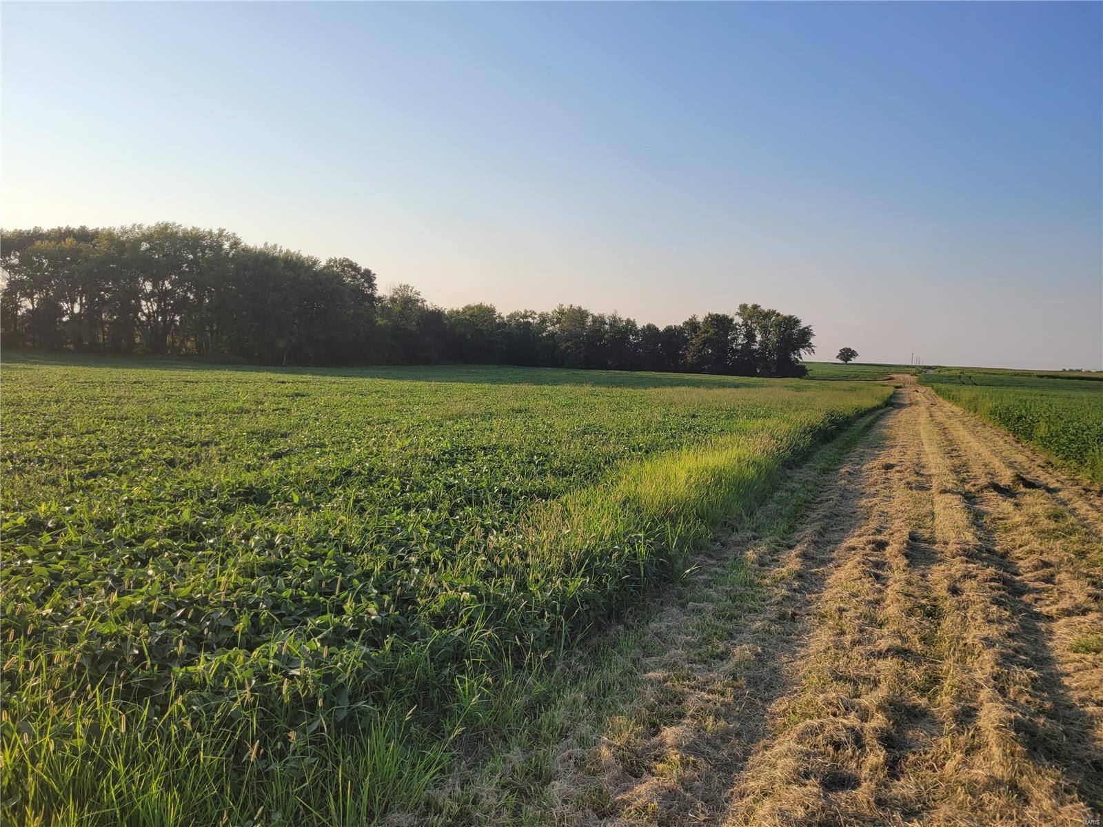 0 Hwy DD (123.22+/- Ac) Tract A