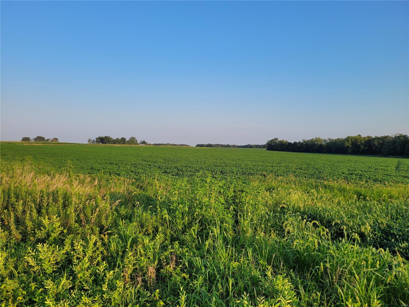 0 Hwy DD (123.22+/- Ac) Tract A