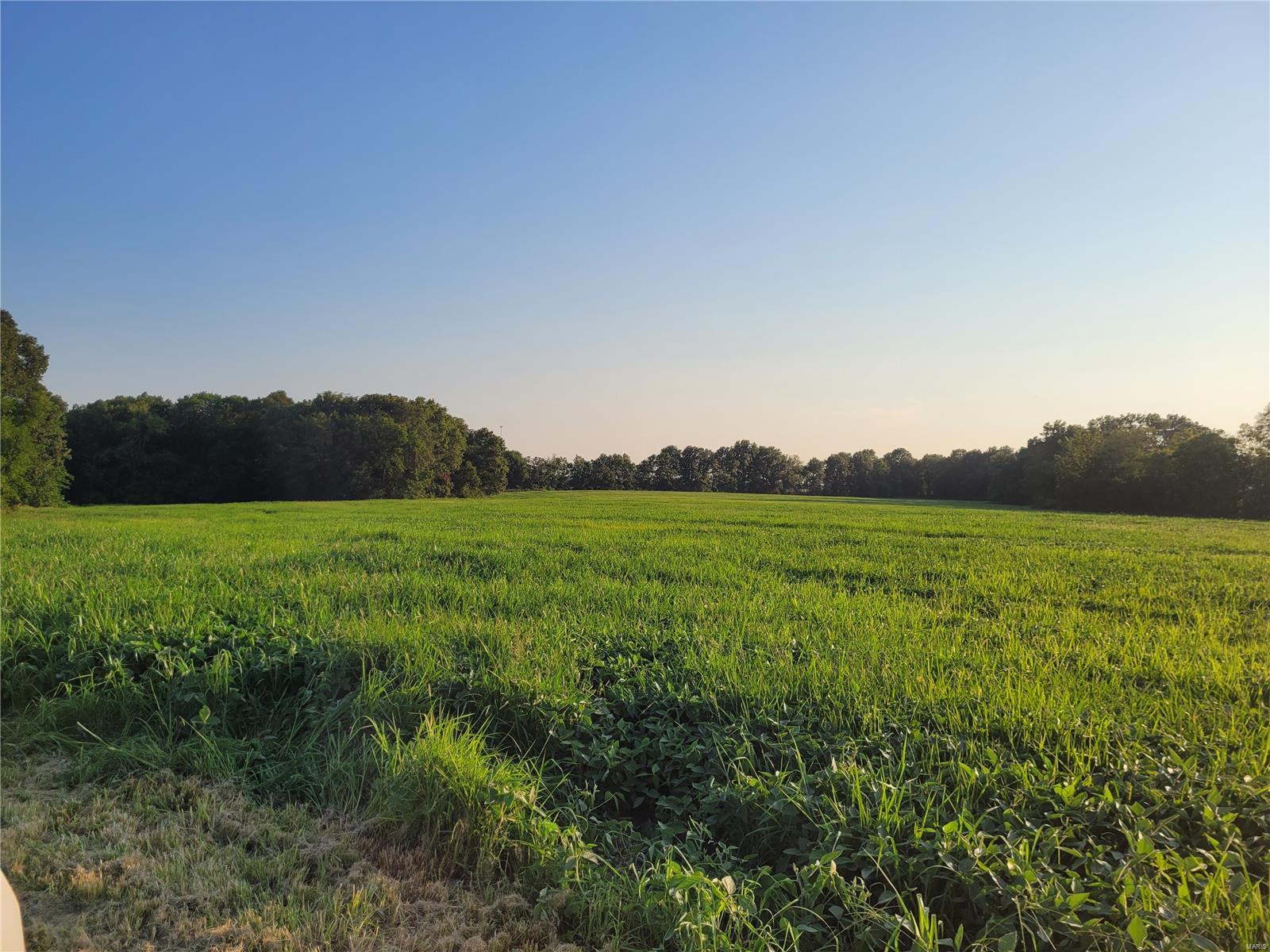 0 Hwy DD (123.22+/- Ac) Tract A