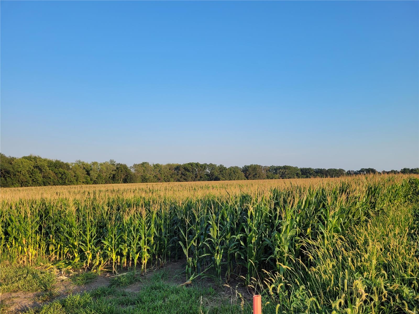0 Hwy DD (123.22+/- Ac) Tract A