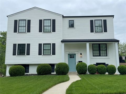 1247 Willow View Drive Kirkwood MO 63122