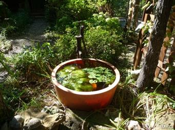 Lakeview Woods Acres - Residential