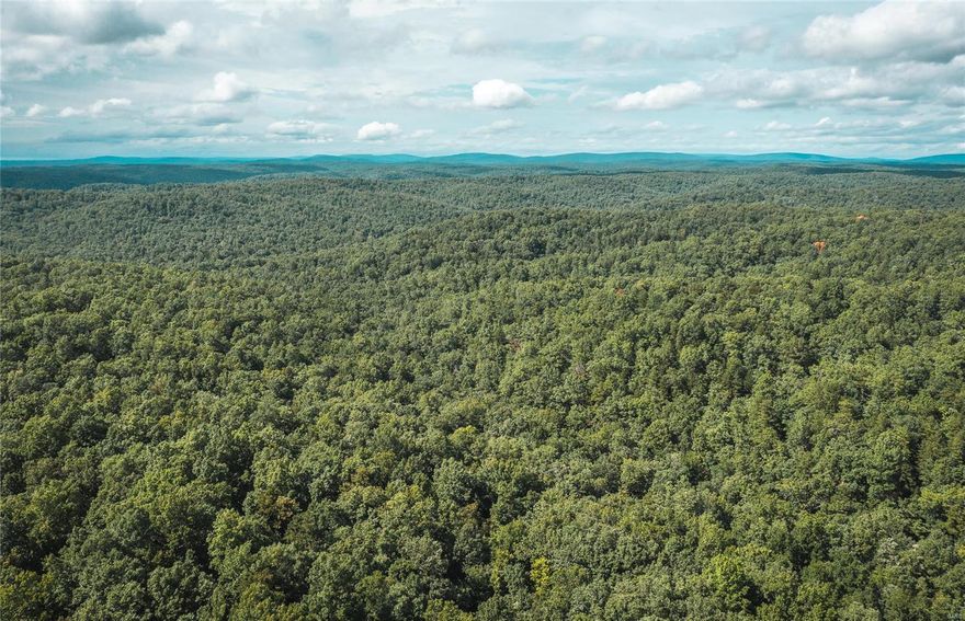 Come take a look at this 513-acre piece of paradise just outside of Lesterville, MO. The property lays very well and is a wildlife paradise loaded with Missouri whitetail bucks and super tom turkeys. Close to the crystal-clear Black River that is known for smallmouth bass. Black River is also known for awesome floating fun! This parcel of land is the perfect recreational destination with largemouth and smallmouth bass fishing opportunities. Canoeing, kayaking, deer and turkey hunting are all available in the foothills of the Ozark Mountains. This property is close to thousands of acres of the Mark Twain National Forest. You are also close to the Clearwater Lake Recreation Area and Johnson Shut Inn. Making this the perfect location for any outdoor enthusiast!